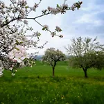 דירה Steiner Selpritsch