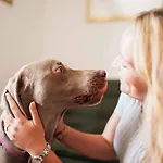 דירה Steiner Selpritsch