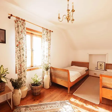 Apartament Steiner Selpritsch