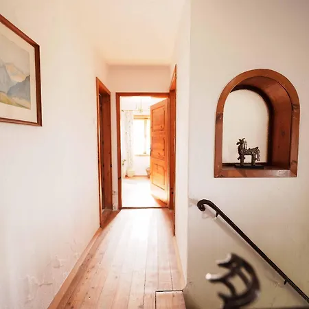 Steiner Apartment