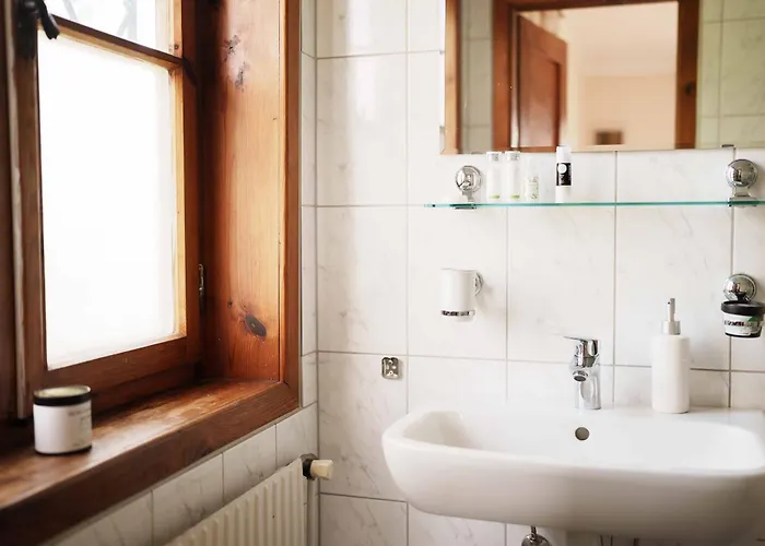 Apartament Steiner *