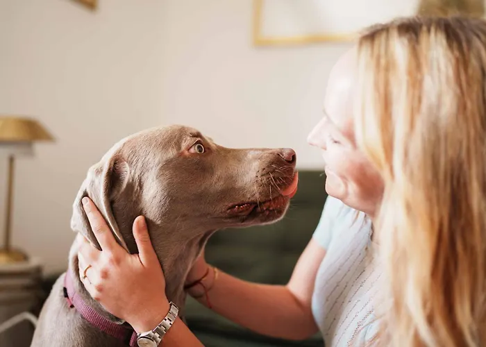 Apartament Steiner Selpritsch